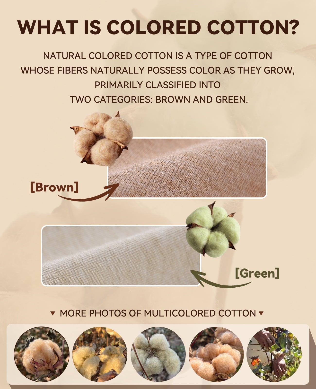 MecTo Natural Colored Cotton Underwear for Women, 3-Pack Dye-Free Skin-Friendly Briefs Breathable Ladies Panties